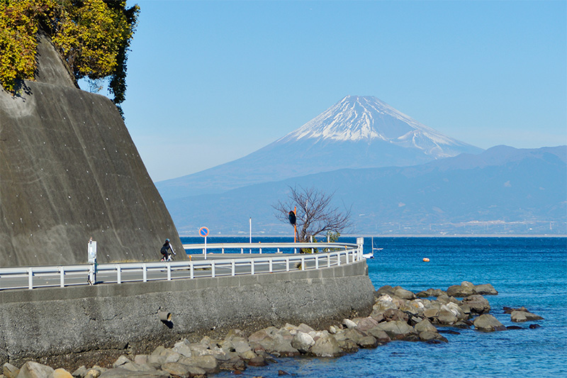 カーブの先に現れる富士山。実に贅沢なサイクリングコースだ