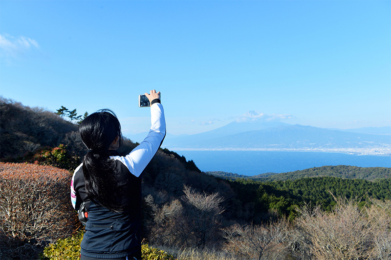 達磨山レストハウスから富士山を望む。伊豆が海底火山だった頃から現在に至るまでの時代の痕跡を一望できる