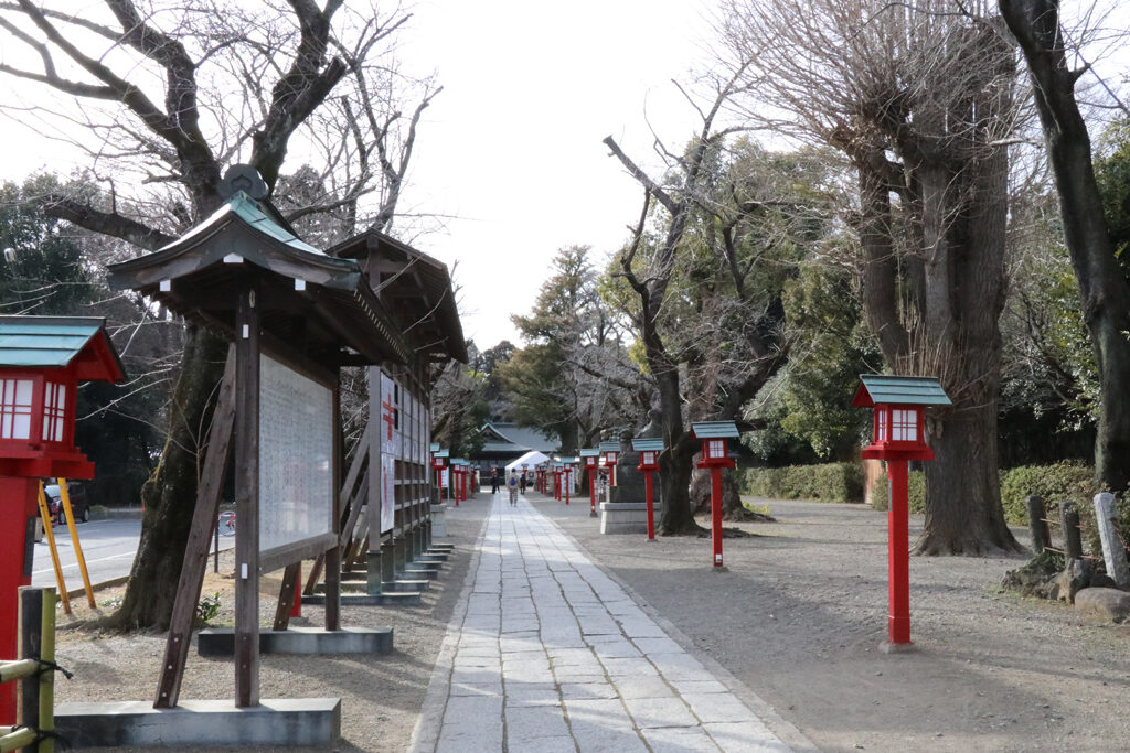 関東の桜の名所「権現堂公園」とアニメの聖地を巡るサイクリング（埼玉）